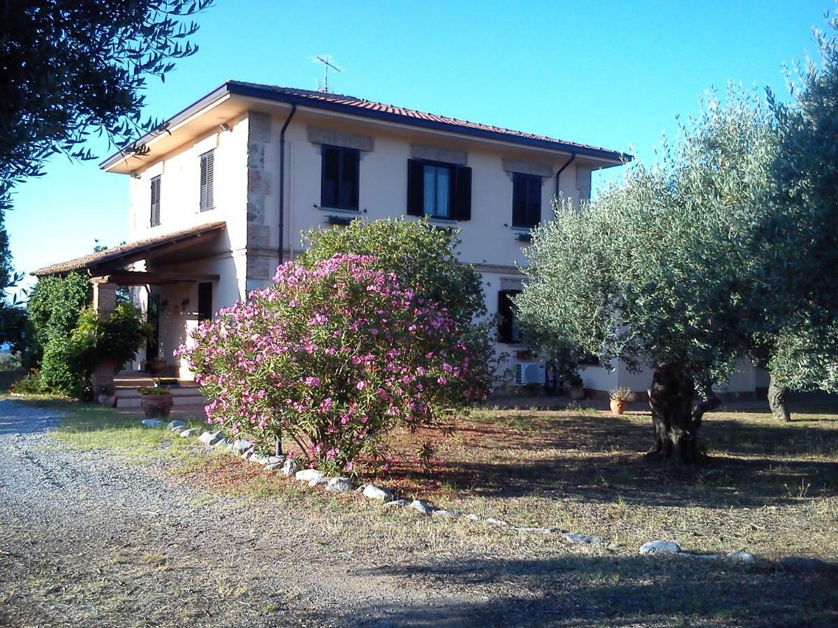 Pathirion B&B Rossano Kültér fotó